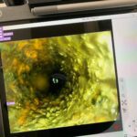 bildet viser hvordan det ser ut i en kloakk