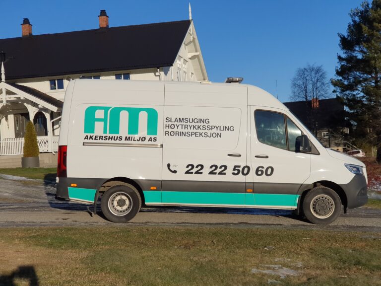 bildet viser ren bil med logo sett fra siden